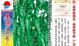 吃瓜致富小说免费阅读,从吃瓜到致富的奇幻之旅